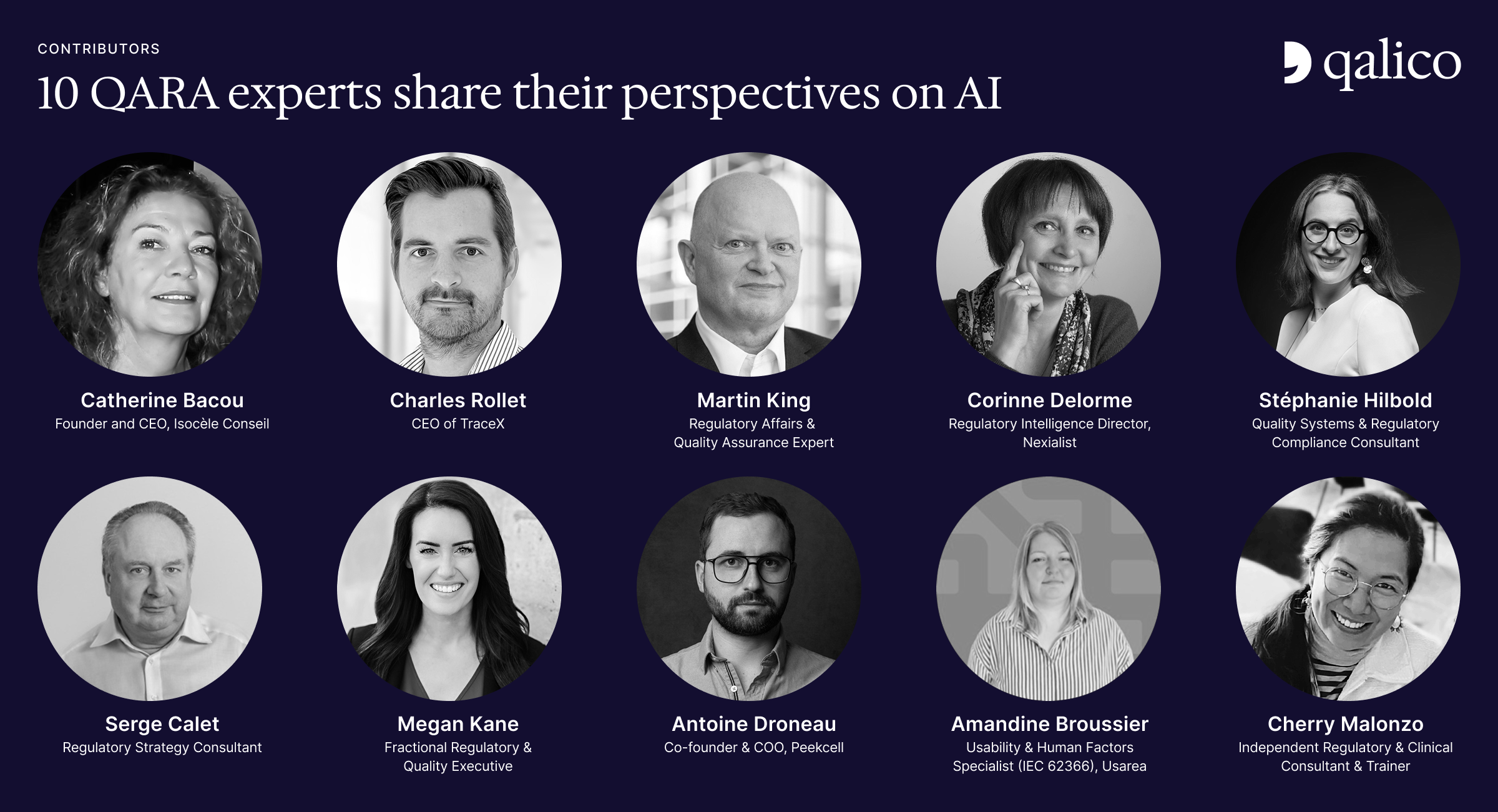 Contributors to the AI for QARA white paper: regulatory and quality professionals